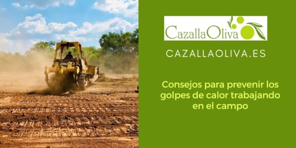 Consejos para prevenir los golpes de calor trabajando en el campo