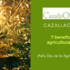 Día de la Agricultura Ecológica