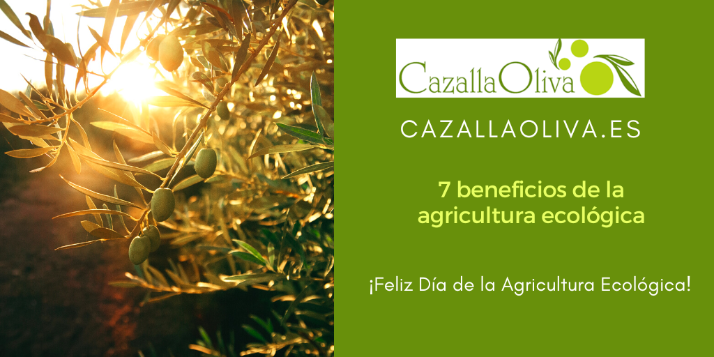 Día de la Agricultura Ecológica