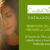 beneficios del aceite de oliva virgen extra para prevenir la caída del cabello