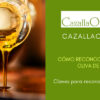 como reconocer un aceite de oliva de calidad