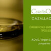 cuales son las diferencias entre los distintos tipos de aceite que podemos encontrar en el mercado