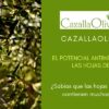 el potencial antiinflamatorio de las hojas del olivo
