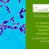 los microorganismos son esenciales para la fertilidad del suelo y un cultivo saludable y potente