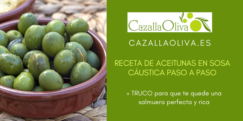 receta de aceitunas en sosa cáustica paso a paso