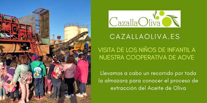 infantil visita nuestra cooperativa para conocer de donde sale el aceite de oliva